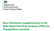 Defra seek phytopthora review